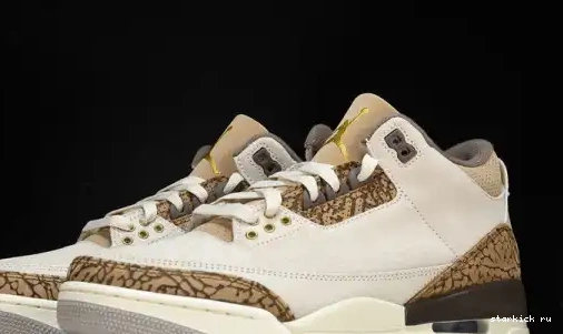 Palomino  CT8532-102  Retro Jordan 3 CT8532-102 0611